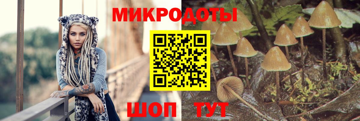 Галлюциногенные грибы мухоморы Михайловск