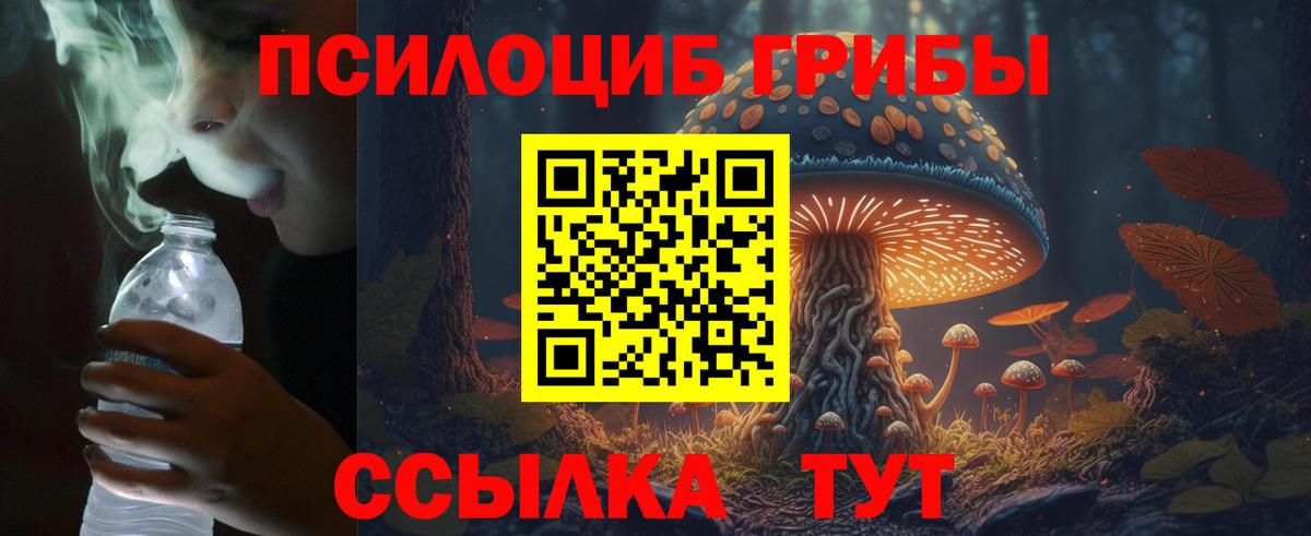 Михайловск  дарнет шоп  Вход с VPN  Псилоцибиновые грибы прущие грибы 